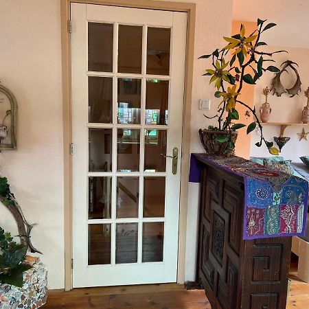 La Cabana Zandvoort Εξωτερικό φωτογραφία